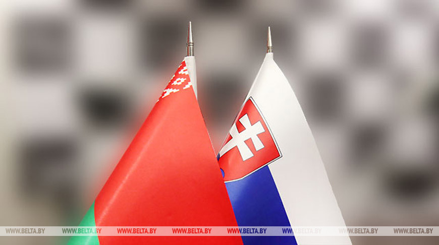 Флаги Республики Беларусь и Словацкой Республики