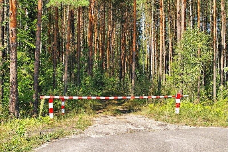 Ограничения на посещение лесов действуют в восьми районах Беларуси