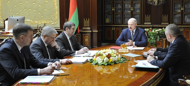 Во время доклада о проекте указа по вопросам совершенствования деятельности в сфере лесного хозяйства