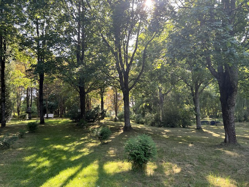 Глубокский дендрологический сад