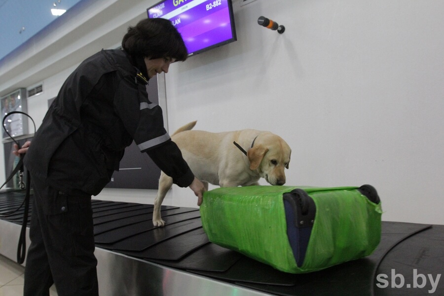 Таможенный контроль