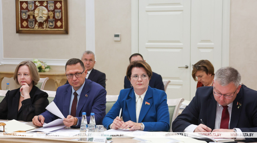 Во время заседания экспертного совета при Совете Республики