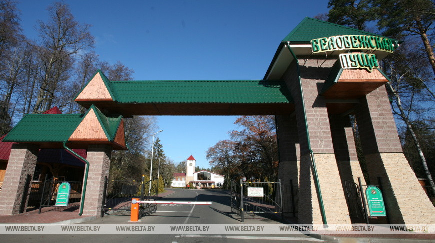 Беловежская пуща